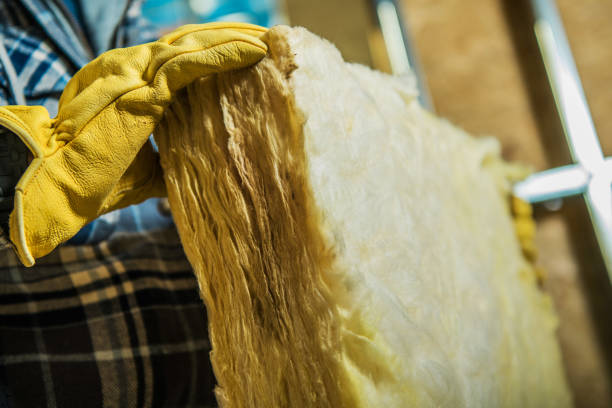 Best DIY Insulation Kits and Guidance in Greenbriar, VA