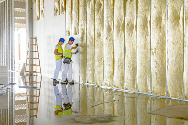 Best Cellulose Insulation in Greenbriar, VA